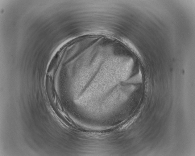 X0000081570932200701291211