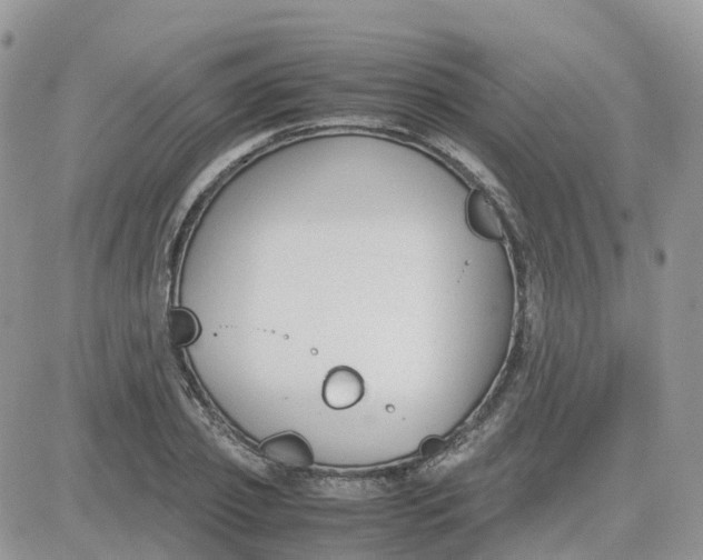 X0000081570933200701291211