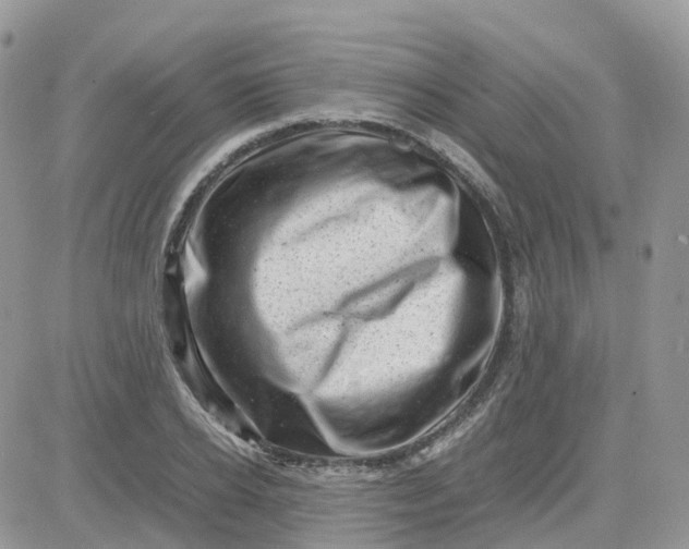 X0000081570934200701291211