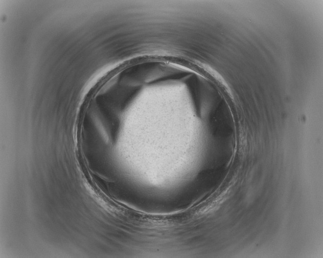 X0000081570935200701291211