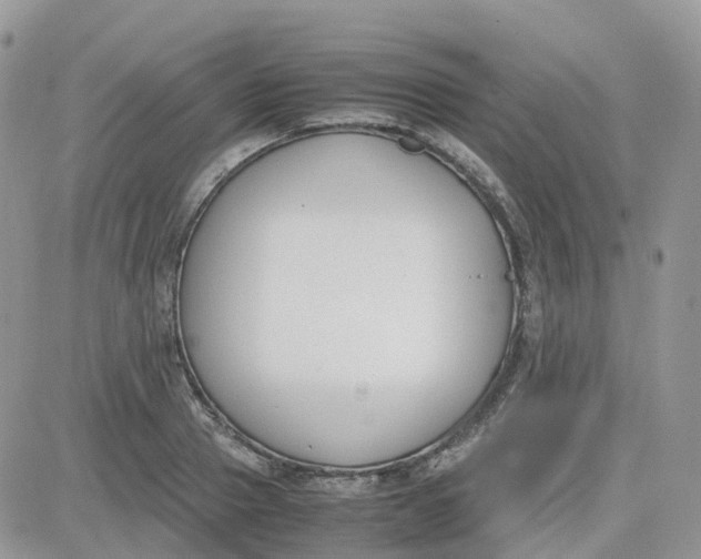 X0000081570937200701291211