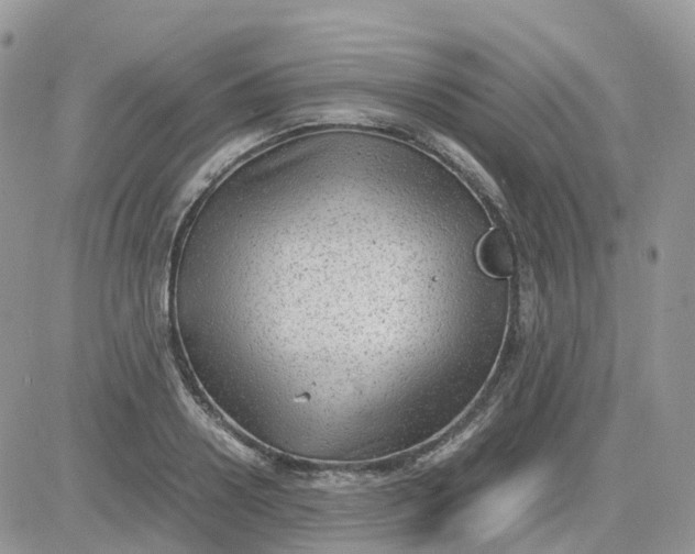 X0000081570938200701291211