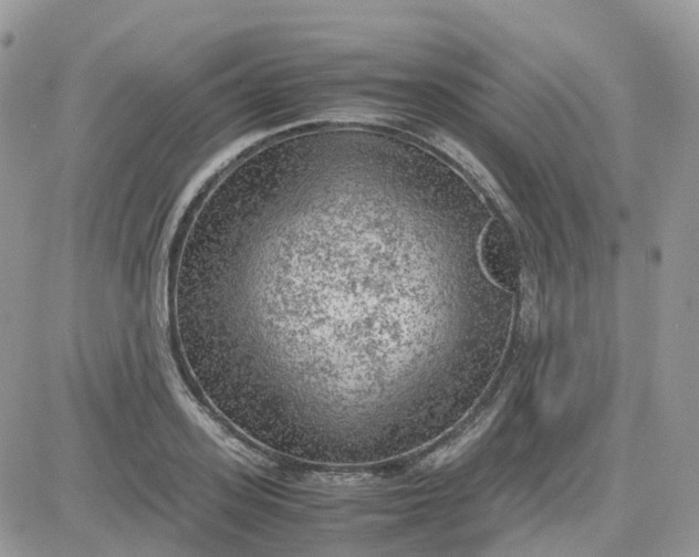 X0000081570939200701291211