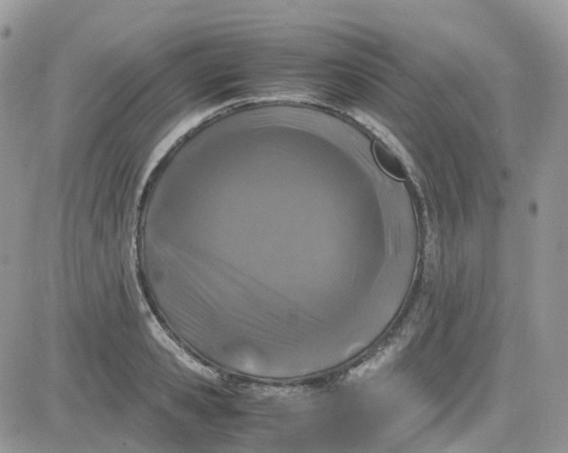 X0000081570941200701291211