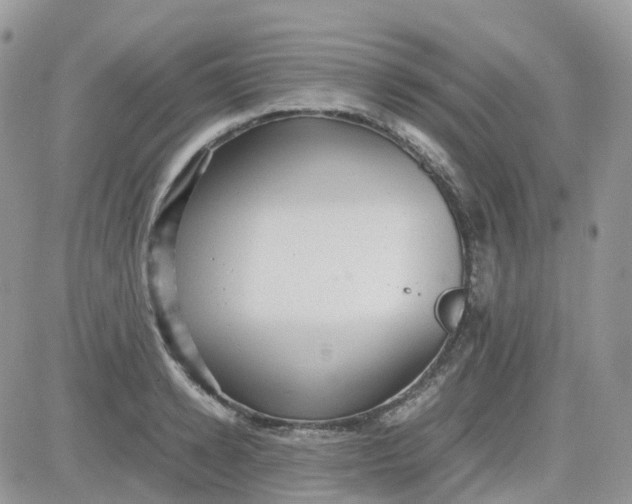 X0000081570942200701291211