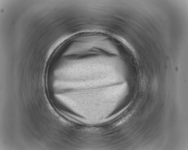 X0000081570943200701291211