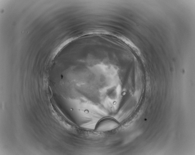 X0000081570945200701291211