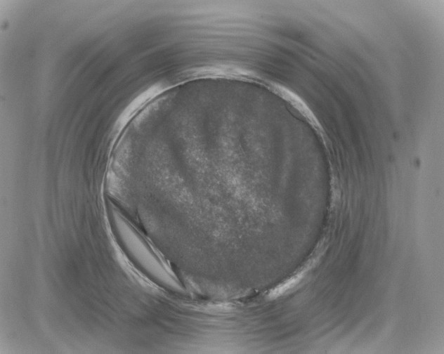 X0000081570946200701291211