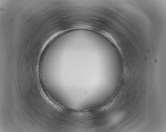 X0000081570947200701291211