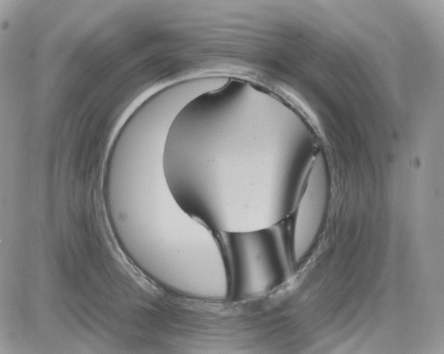 X0000081570948200701291211