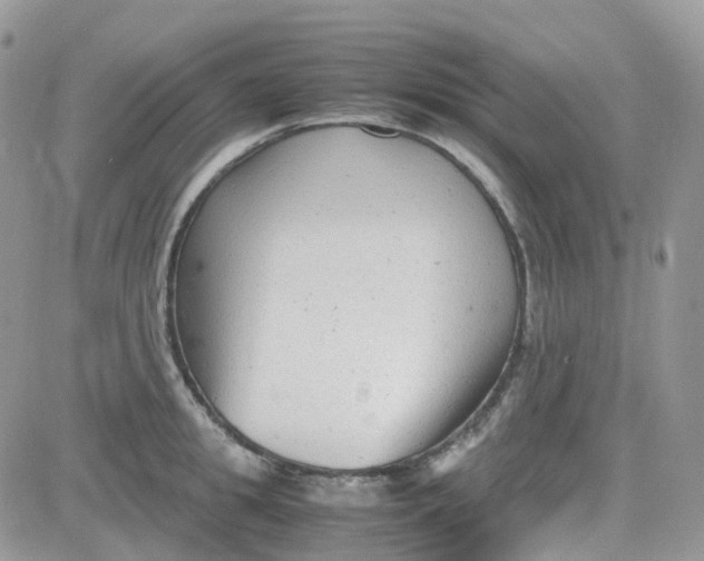 X0000081570949200701291211