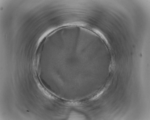 X0000081570952200701291211