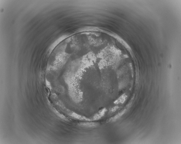 X0000081570953200701291211