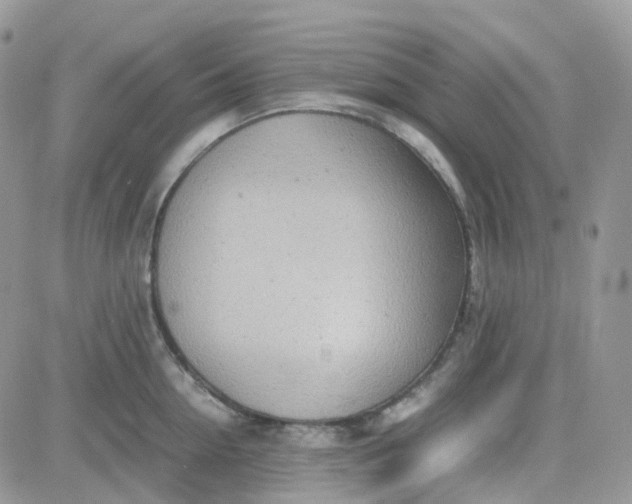 X0000081570954200701291211