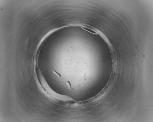 X0000081570955200701291211