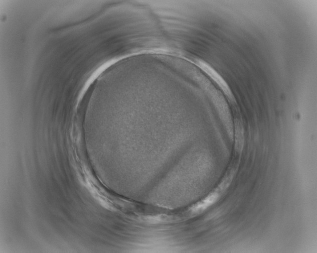 X0000081570956200701291211