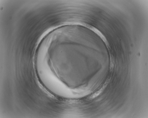 X0000081570958200701291212