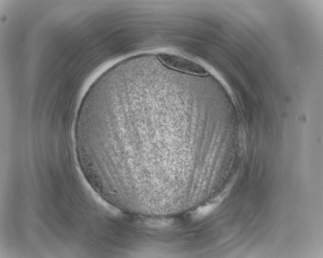 X0000081570959200701291212