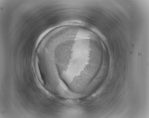 X0000081570960200701291212