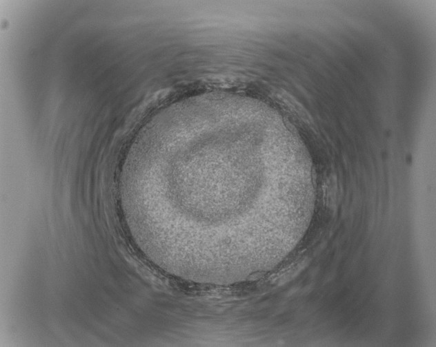 X0000081570961200701291211