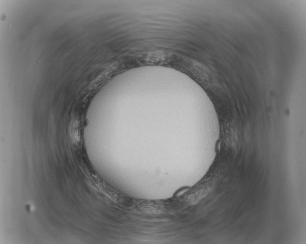 X0000081570962200701291211