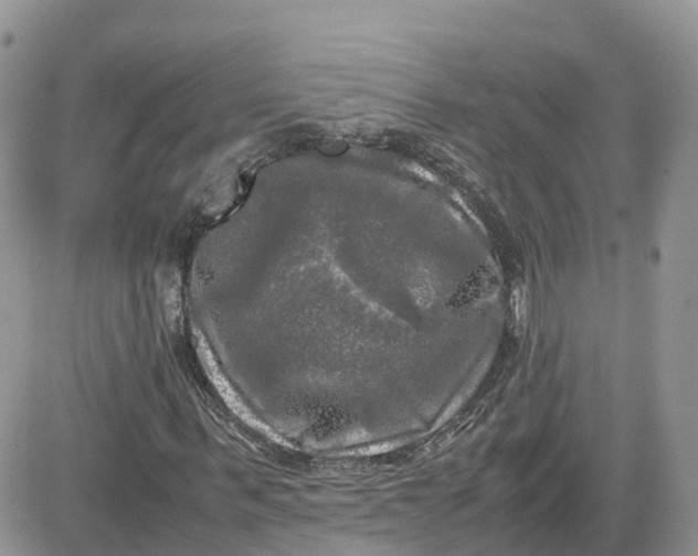 X0000081570963200701291211