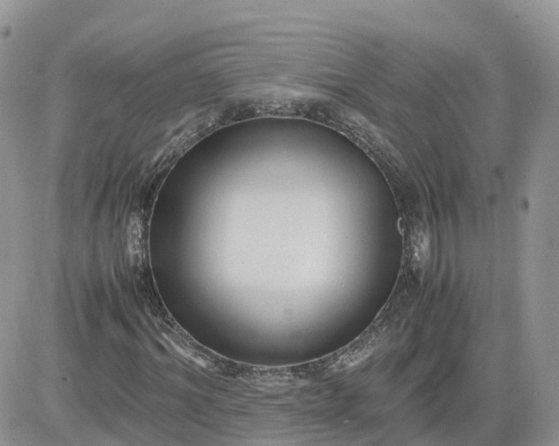 X0000081570964200701291211