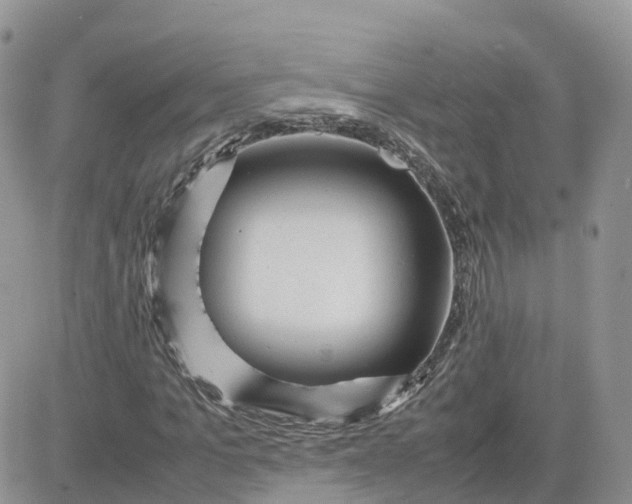 X0000081570965200701291211