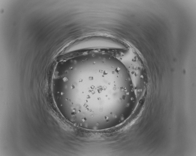 X0000081570969200701291211