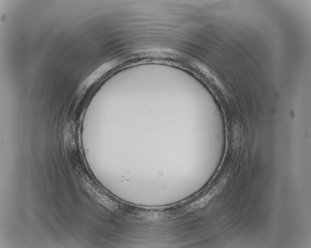 X0000081570970200701291211