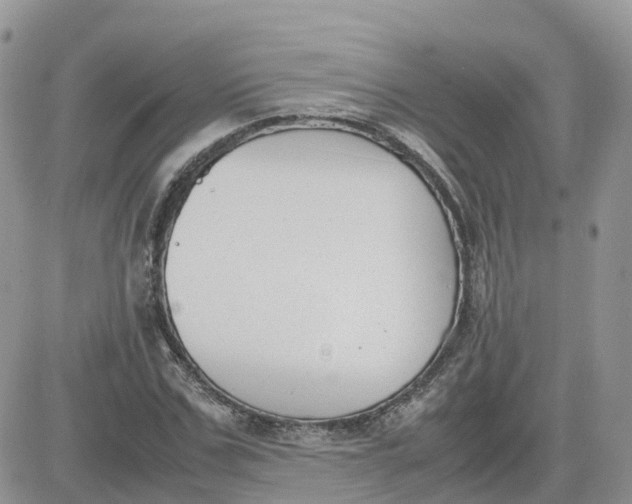 X0000081570971200701291211