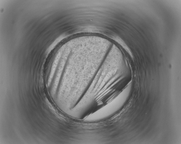 X0000081570972200701291211