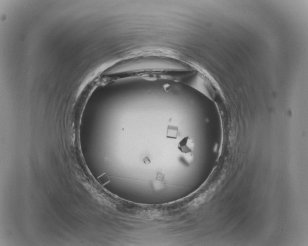 X0000081570973200701291211