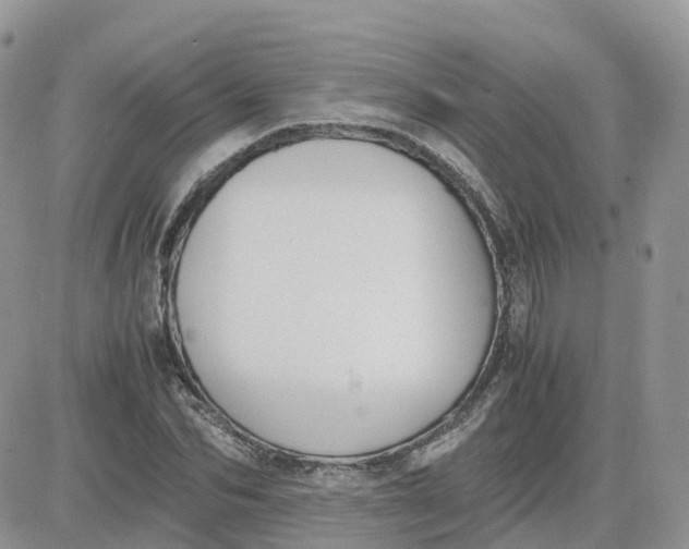 X0000081570974200701291211