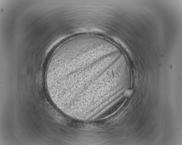 X0000081570975200701291211