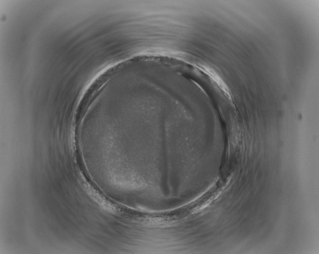 X0000081570976200701291211