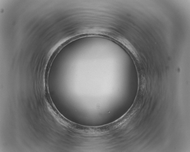 X0000081570980200701291210