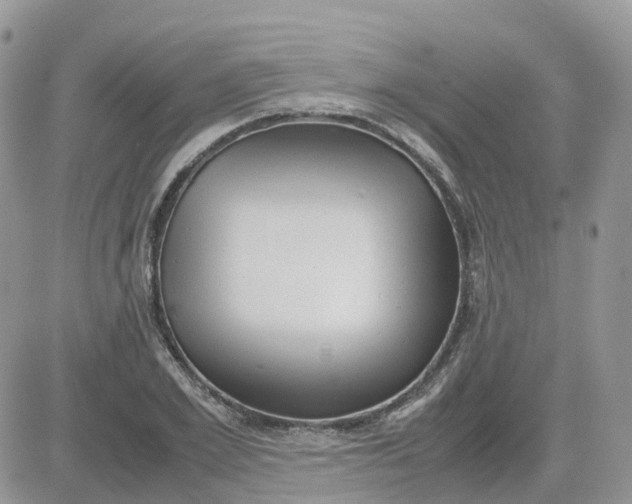 X0000081570981200701291210