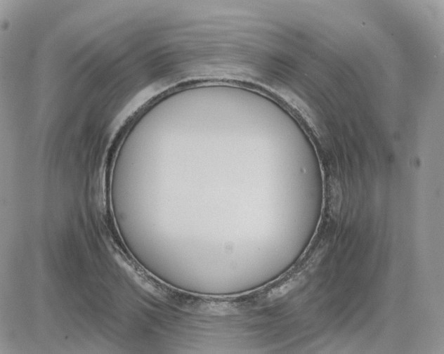 X0000081570982200701291210