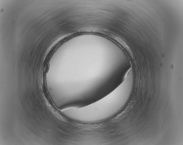 X0000081570984200701291210