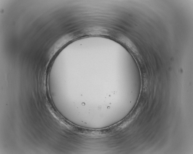 X0000081570986200701291210