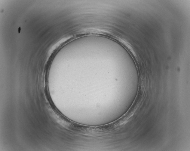 X0000081570987200701291210