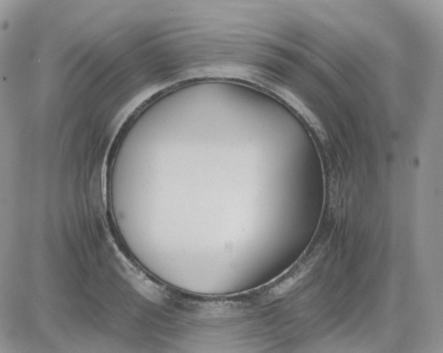 X0000081570988200701291210