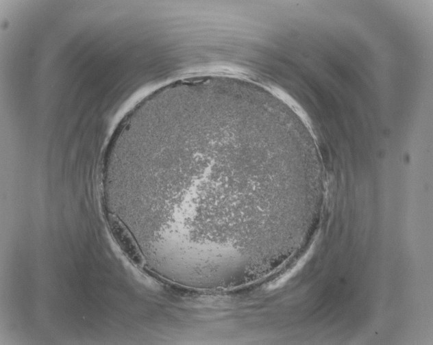 X0000081570989200701291210