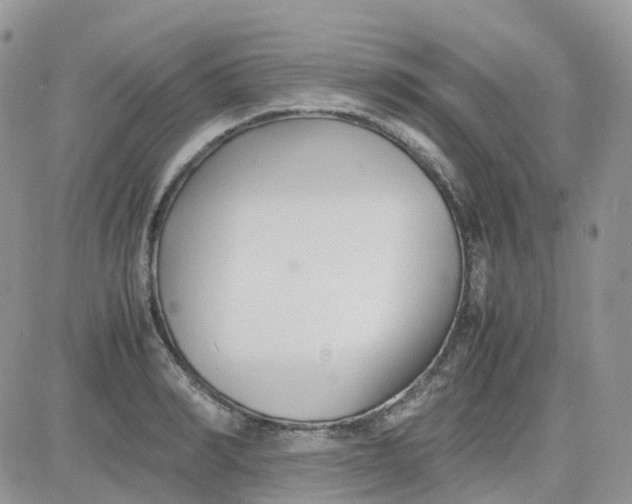 X0000081570990200701291210