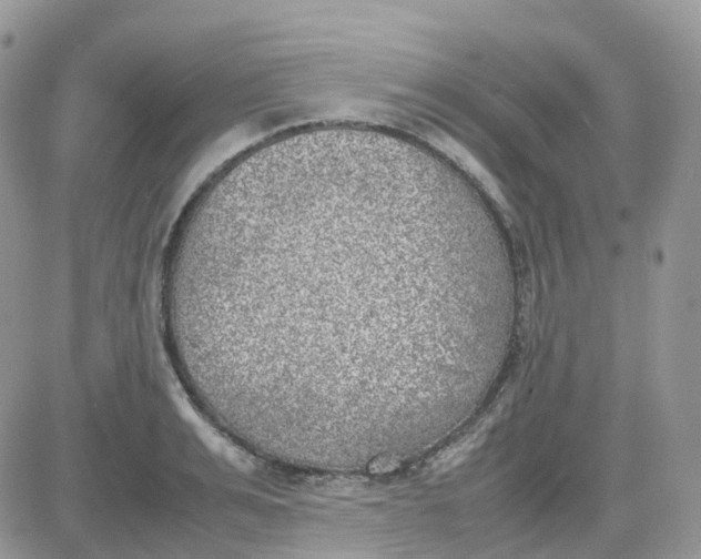 X0000081570991200701291210