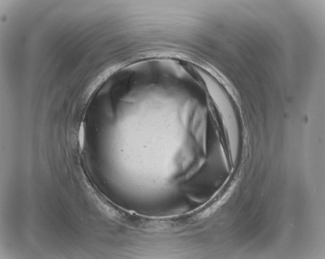 X0000081570993200701291210