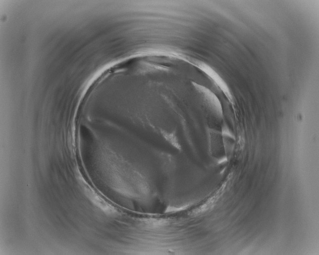 X0000081570996200701291210