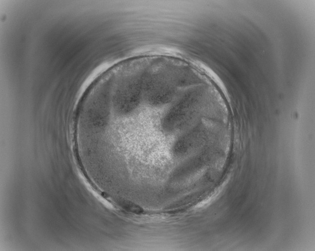 X0000081570997200701291210