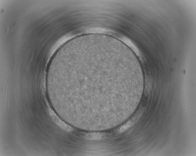 X0000081571000200701291210